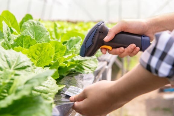 agknowledge scanning barcode of lettuce